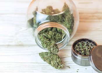 fleurs de CBD
